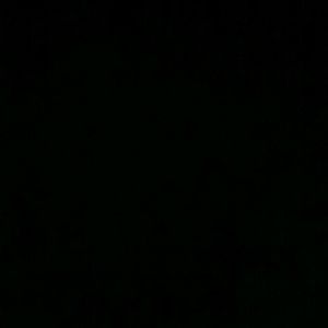 Meet your Posher, Ella